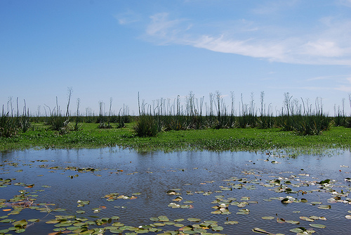 Болота Ибера